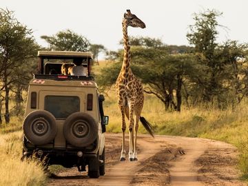 Hot 25 Travel Startups for 2024: Direx